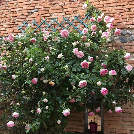 A La De Chambre De Lau Noé Dış mekan fotoğraf